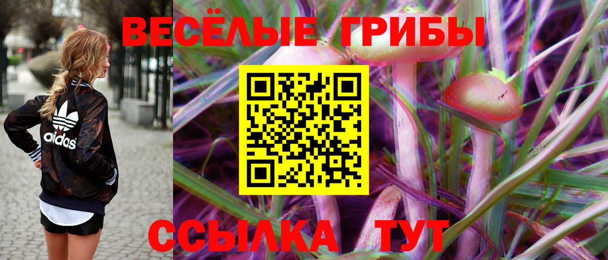 Псилоцибиновые грибы мицелий Барнаул