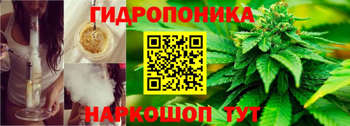 Шишки марихуана семена Барнаул
